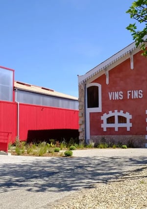 Vineyard Caveau de Lillet_reference highlight